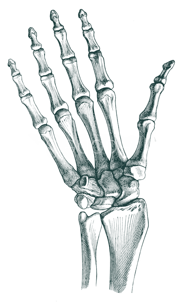 ergoreha faellanden hand2 l