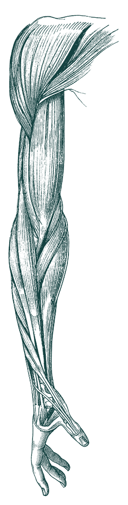 ergoreha faellanden arm l